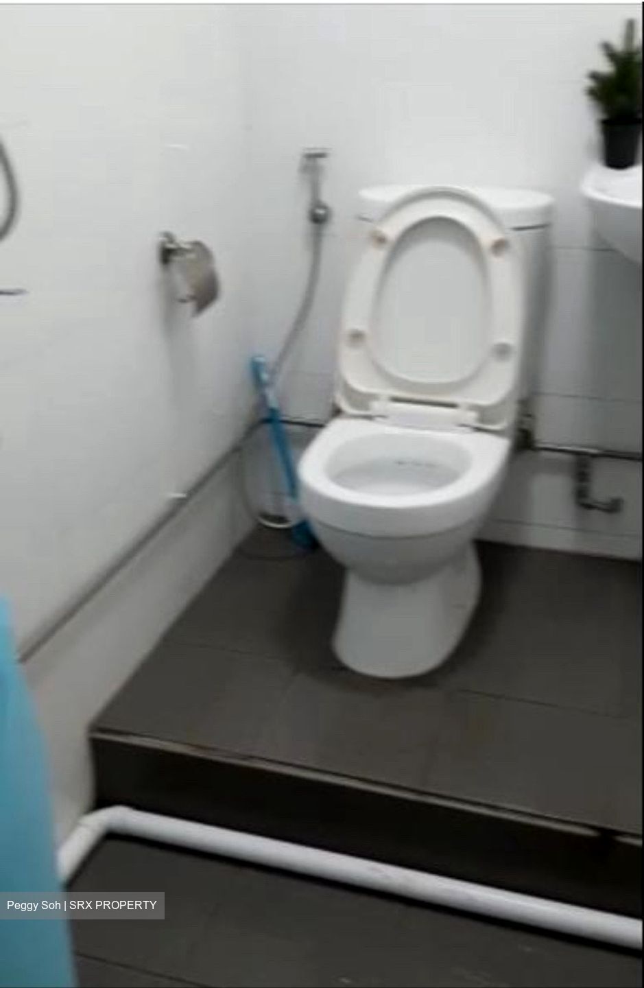 Chun Tin Court (D21), Apartment #432676941